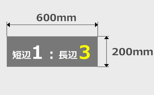 200mm×600mm印刷